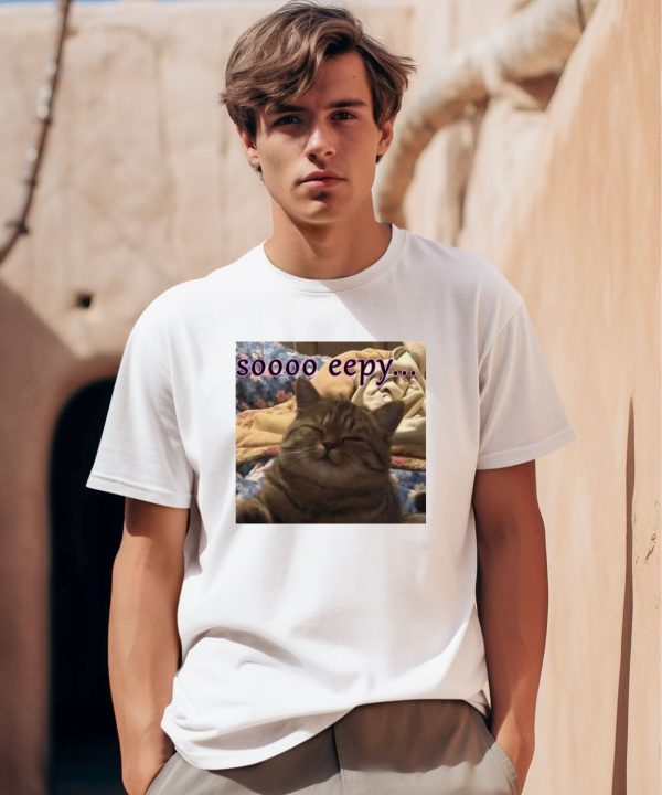 PunchingCat Soooo Eepy Shirt0