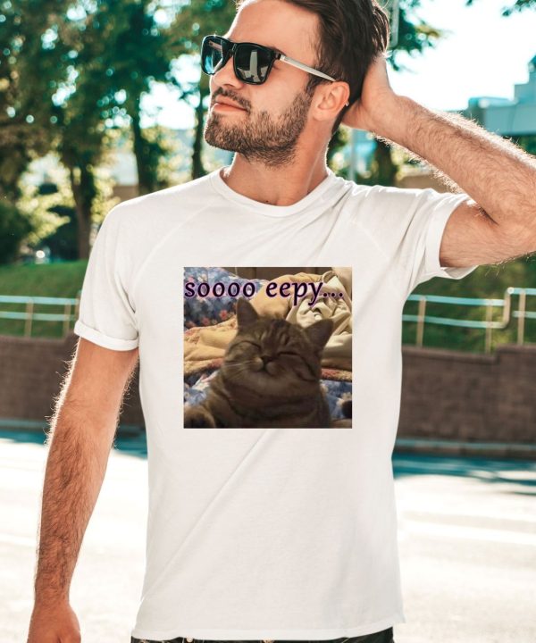 PunchingCat Soooo Eepy Shirt2