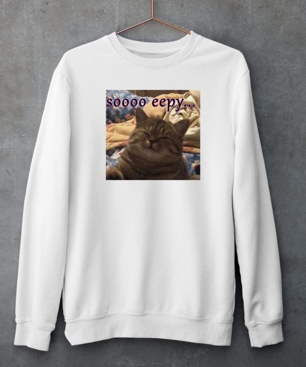 PunchingCat Soooo Eepy Shirt5