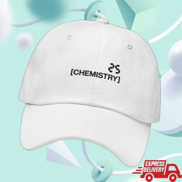 kenny Chris Lake Merch Store Chemistry 25 Dad Hatv