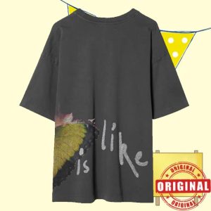 kenny Maroon 5 Store Merch Love Is Like Tee Graya