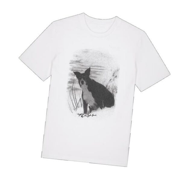 kenny Beta Band Merch Store Beta Band Gypsy T Shirtv