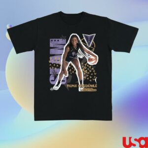 kenny Slamgoods Merch Store Golden State Valkyries Temi Fagbenle Heavy Teee