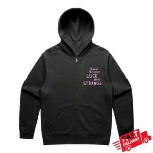 kenny david gilmour store merch luck and strange tour nyc hoodie u