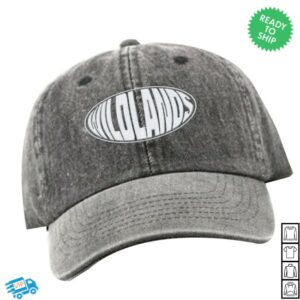 kenny untitled group store merch wildlands grey cappsd w